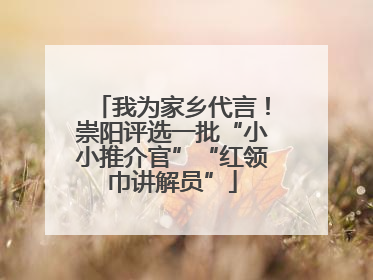 我为家乡代言！崇阳评选一批“小小推介官”“红领巾讲解员”