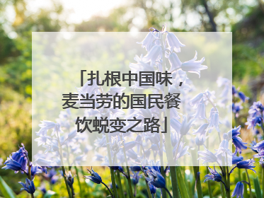 扎根中国味，麦当劳的国民餐饮蜕变之路