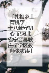 扎根乡土育桃李 三十八载守初心 记河北省宁晋县耿庄桥学区教师张志涛