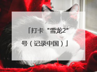打卡“雪龙2”号（记录中国）
