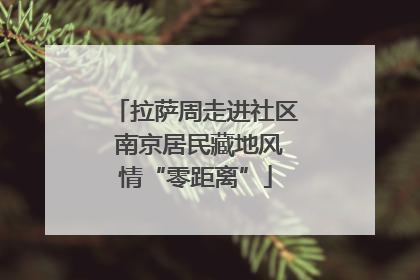 拉萨周走进社区 南京居民藏地风情“零距离”