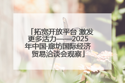 拓宽开放平台 激发更多活力——2025年中国·廊坊国际经济贸易洽谈会观察