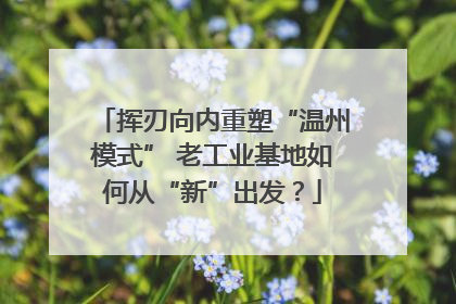 挥刃向内重塑“温州模式” 老工业基地如何从“新”出发？