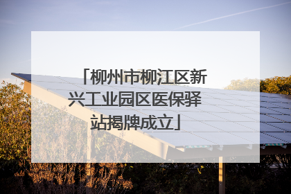 柳州市柳江区新兴工业园区医保驿站揭牌成立