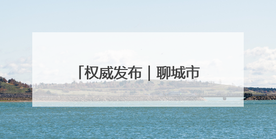 权威发布｜聊城市档案馆数字化赋能打造便民服务新模式
