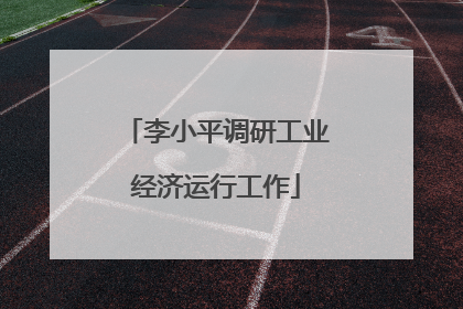 李小平调研工业经济运行工作