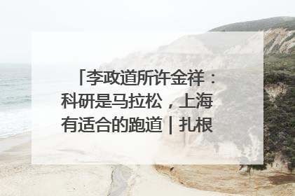 李政道所许金祥：科研是马拉松，上海有适合的跑道｜扎根上海，从0到1