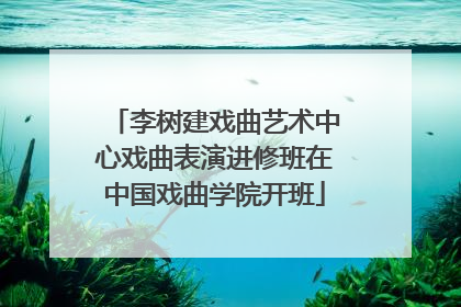 李树建戏曲艺术中心戏曲表演进修班在中国戏曲学院开班