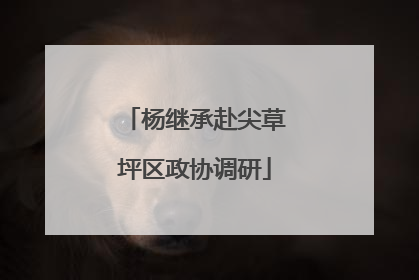 杨继承赴尖草坪区政协调研