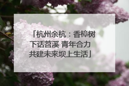 杭州余杭：香樟树下话苕溪 青年合力共建未来坝上生活