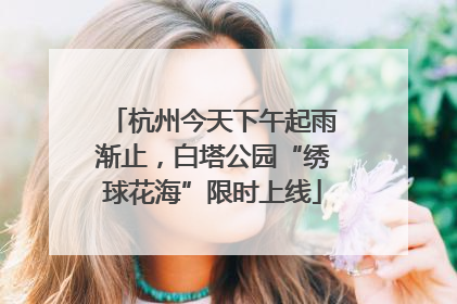 杭州今天下午起雨渐止，白塔公园“绣球花海”限时上线