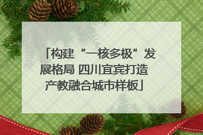 构建“一核多极”发展格局 四川宜宾打造产教融合城市样板