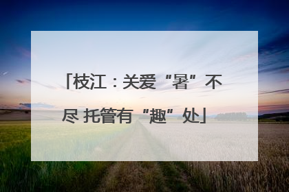 枝江：关爱“暑”不尽 托管有“趣”处
