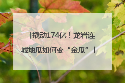 撬动174亿！龙岩连城地瓜如何变“金瓜”