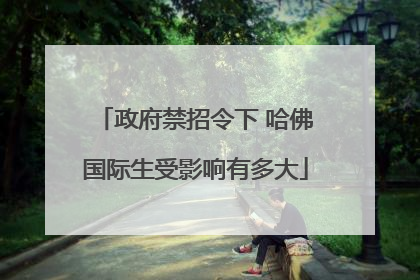 政府禁招令下 哈佛国际生受影响有多大