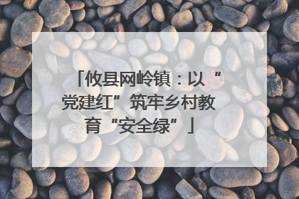 攸县网岭镇：以“党建红”筑牢乡村教育“安全绿”
