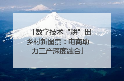 数字技术“耕”出乡村新图景：电商助力三产深度融合