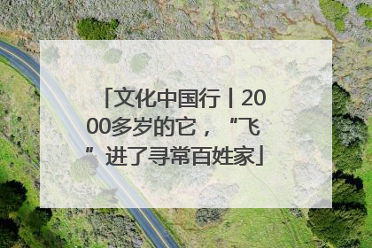 文化中国行丨2000多岁的它，“飞”进了寻常百姓家