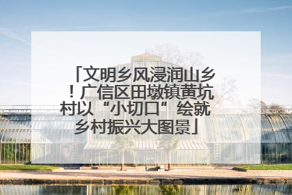 文明乡风浸润山乡！广信区田墩镇黄坑村以“小切口”绘就乡村振兴大图景