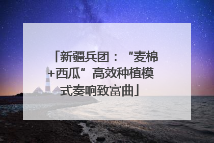 新疆兵团：“麦棉+西瓜”高效种植模式奏响致富曲