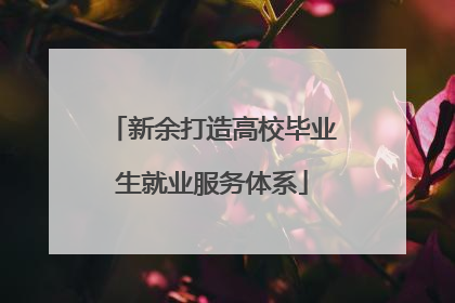 新余打造高校毕业生就业服务体系