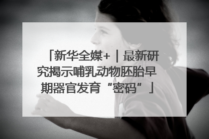 新华全媒+｜最新研究揭示哺乳动物胚胎早期器官发育“密码”