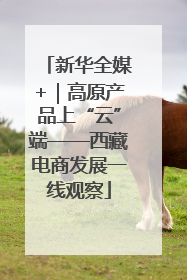 新华全媒+｜高原产品上“云”端——西藏电商发展一线观察