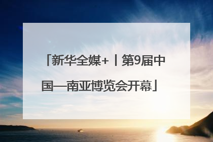 新华全媒+丨第9届中国—南亚博览会开幕