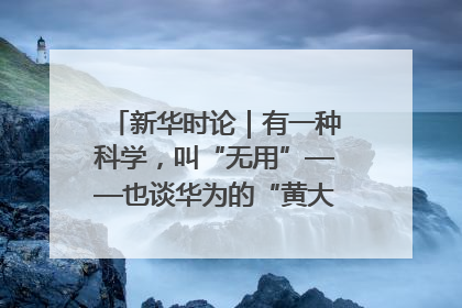 新华时论｜有一种科学，叫“无用”——也谈华为的“黄大年茶思屋”