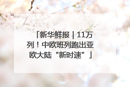 新华鲜报｜11万列！中欧班列跑出亚欧大陆“新时速”