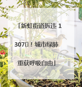新虹街道拆违 1307㎡！城市绿肺重获呼吸自由