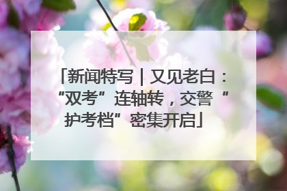 新闻特写｜又见老白：“双考”连轴转，交警“护考档”密集开启
