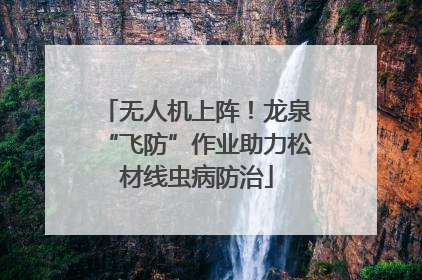 无人机上阵！龙泉“飞防”作业助力松材线虫病防治