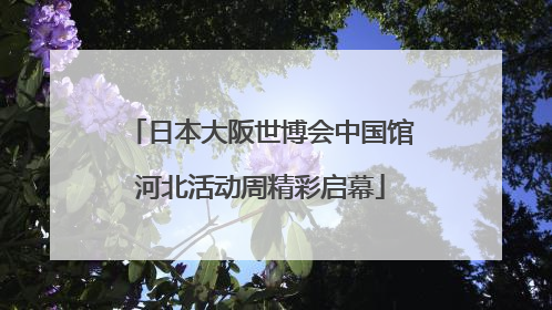 日本大阪世博会中国馆河北活动周精彩启幕