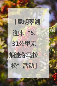昆明翠湖迎来“5.31公里无烟迷你马拉松”活动