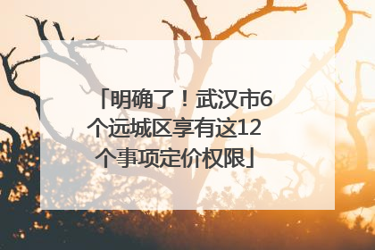明确了！武汉市6个远城区享有这12个事项定价权限
