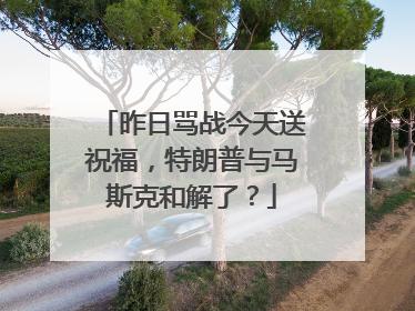 昨日骂战今天送祝福，特朗普与马斯克和解了？