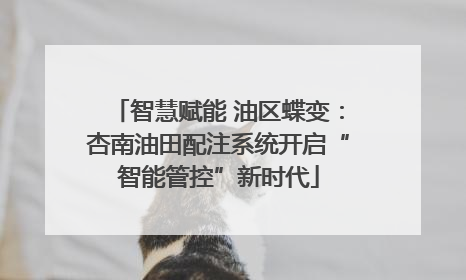 智慧赋能 油区蝶变：杏南油田配注系统开启“智能管控”新时代