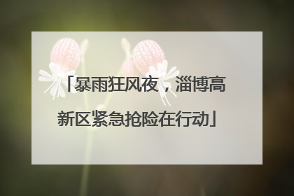 暴雨狂风夜，淄博高新区紧急抢险在行动