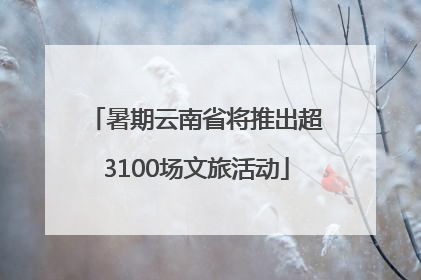 暑期云南省将推出超3100场文旅活动