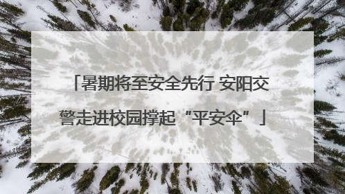 暑期将至安全先行 安阳交警走进校园撑起“平安伞”