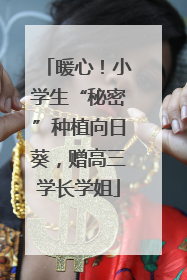 暖心！小学生“秘密”种植向日葵，赠高三学长学姐