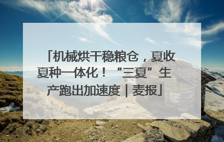 机械烘干稳粮仓，夏收夏种一体化！“三夏”生产跑出加速度｜麦报