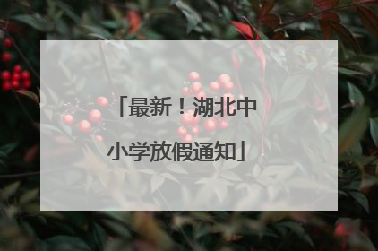 最新！湖北中小学放假通知