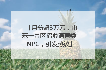月薪超3万元，山东一景区招募语言类NPC，引发热议