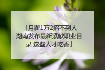 月薪1万2招不到人 湖南发布最新紧缺职业目录 这些人才吃香