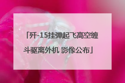 歼-15挂弹起飞高空缠斗驱离外机 影像公布