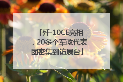 歼-10CE亮相，20多个军政代表团密集到访展台
