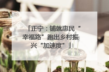正宁：铺就惠民“幸福路”跑出乡村振兴“加速度”