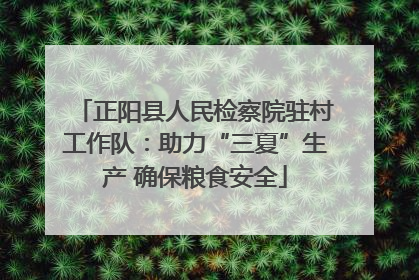 正阳县人民检察院驻村工作队：助力“三夏”生产 确保粮食安全